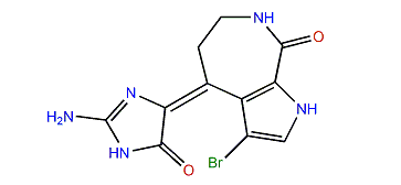 Spongiacidin B